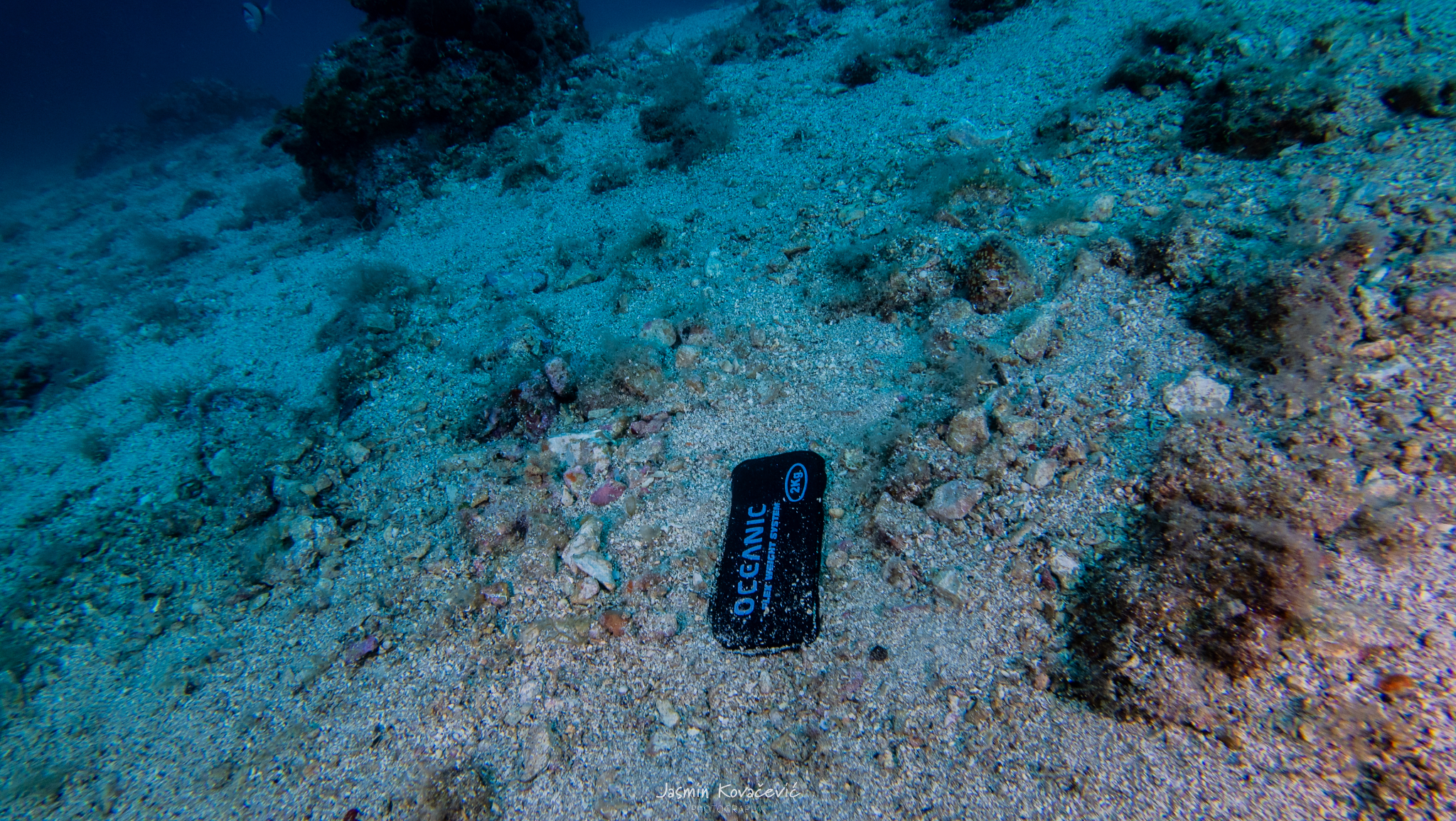 DJI 20250619144821 0057 D 001