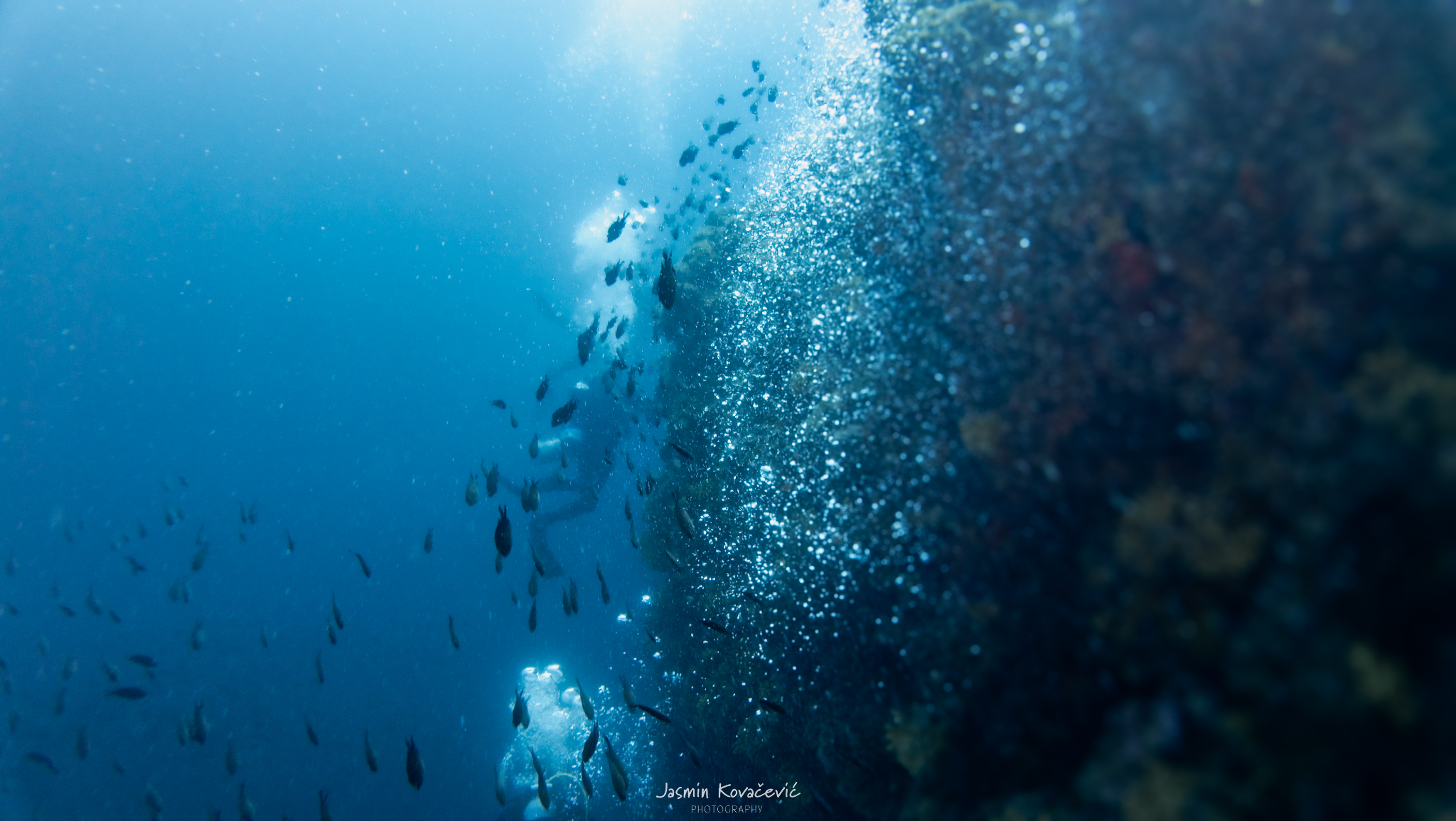 DJI 20250621103408 0256 D 002