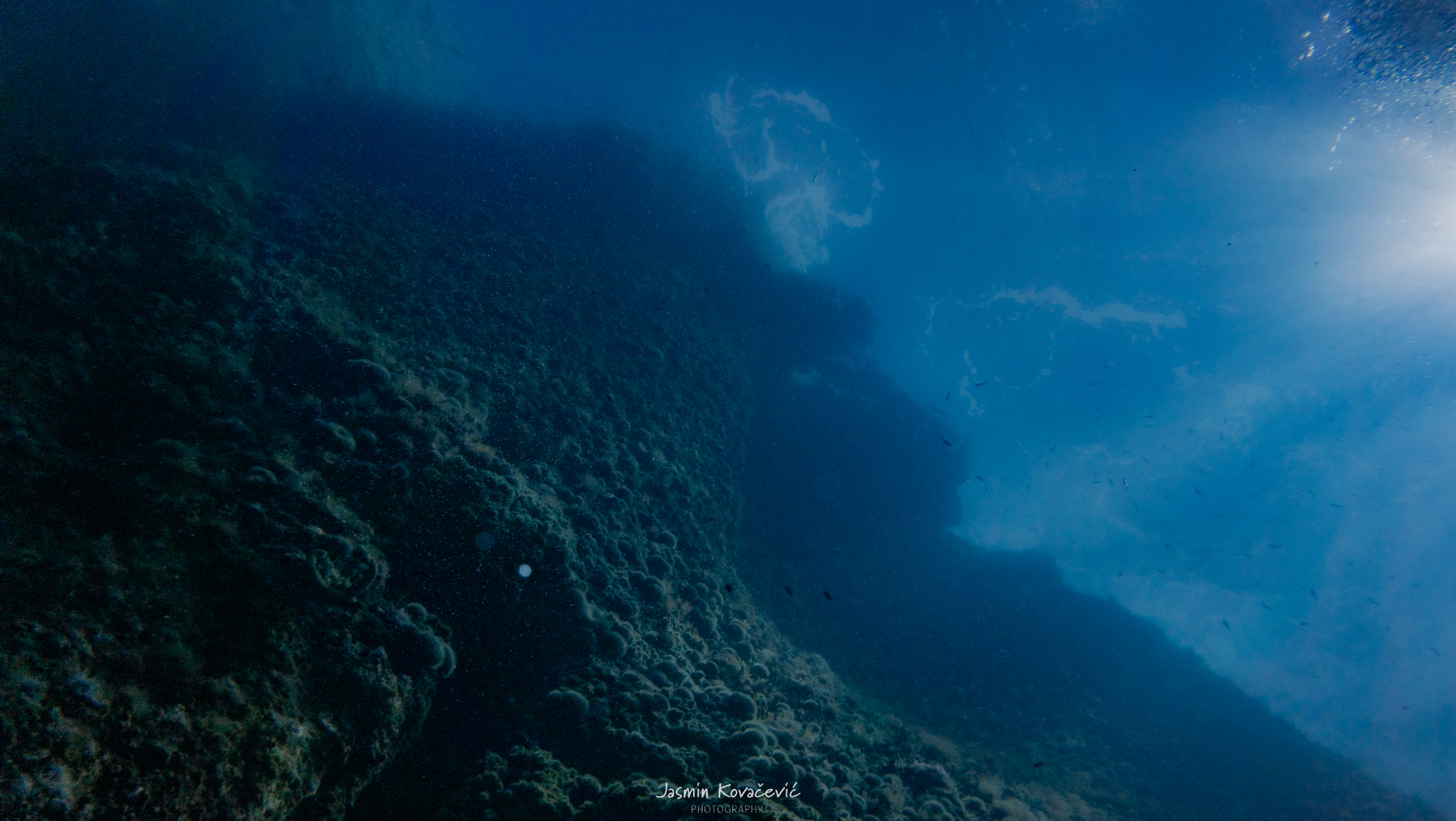 DJI 20250621103927 0273 D 002