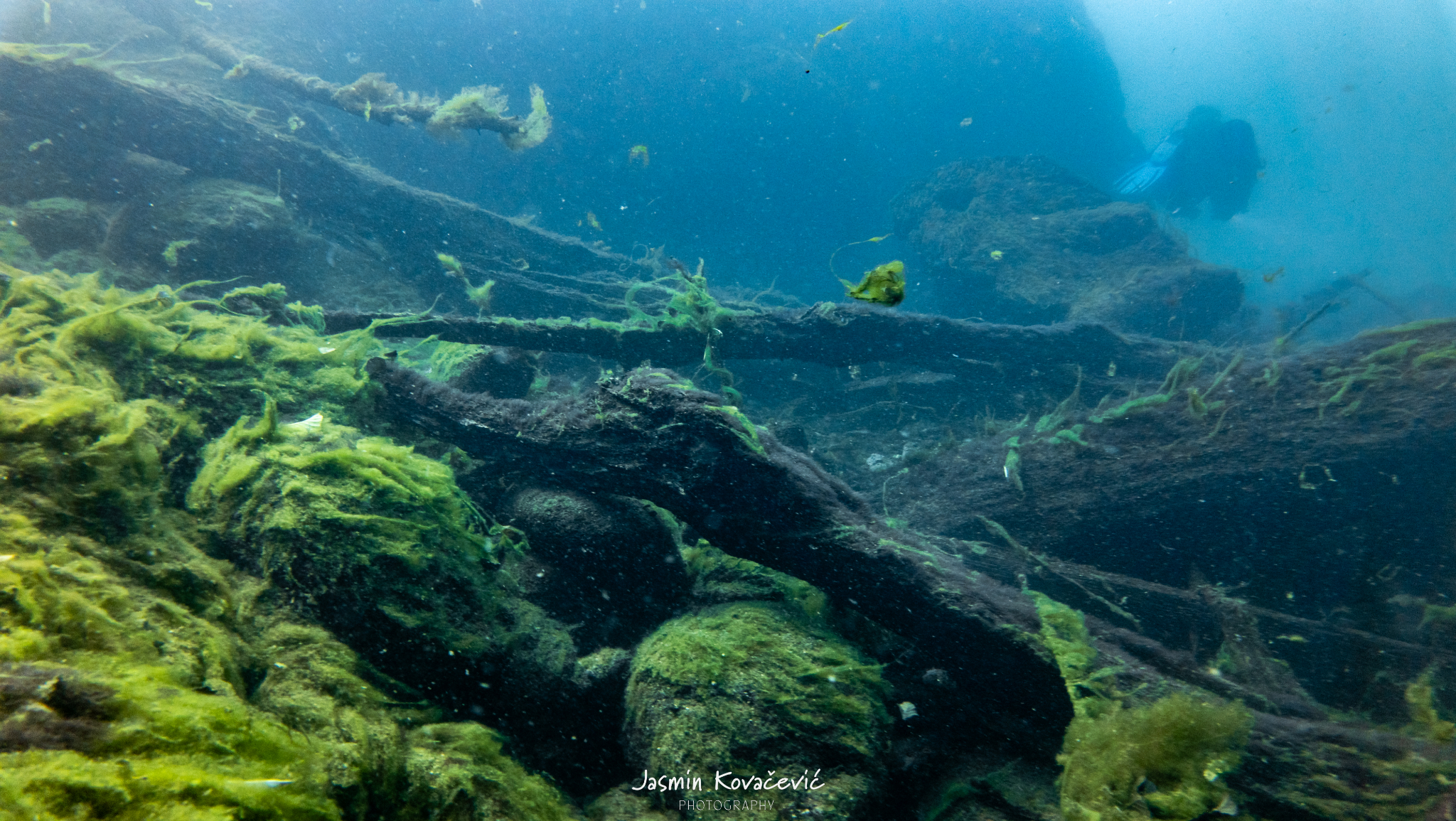 DJI 20250719110103 0032 D 002