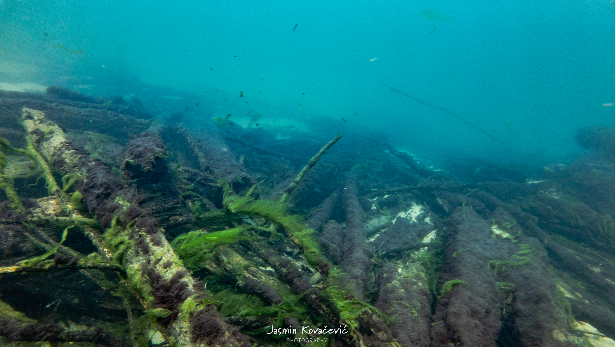 DJI 20250719110150 0035 D 002