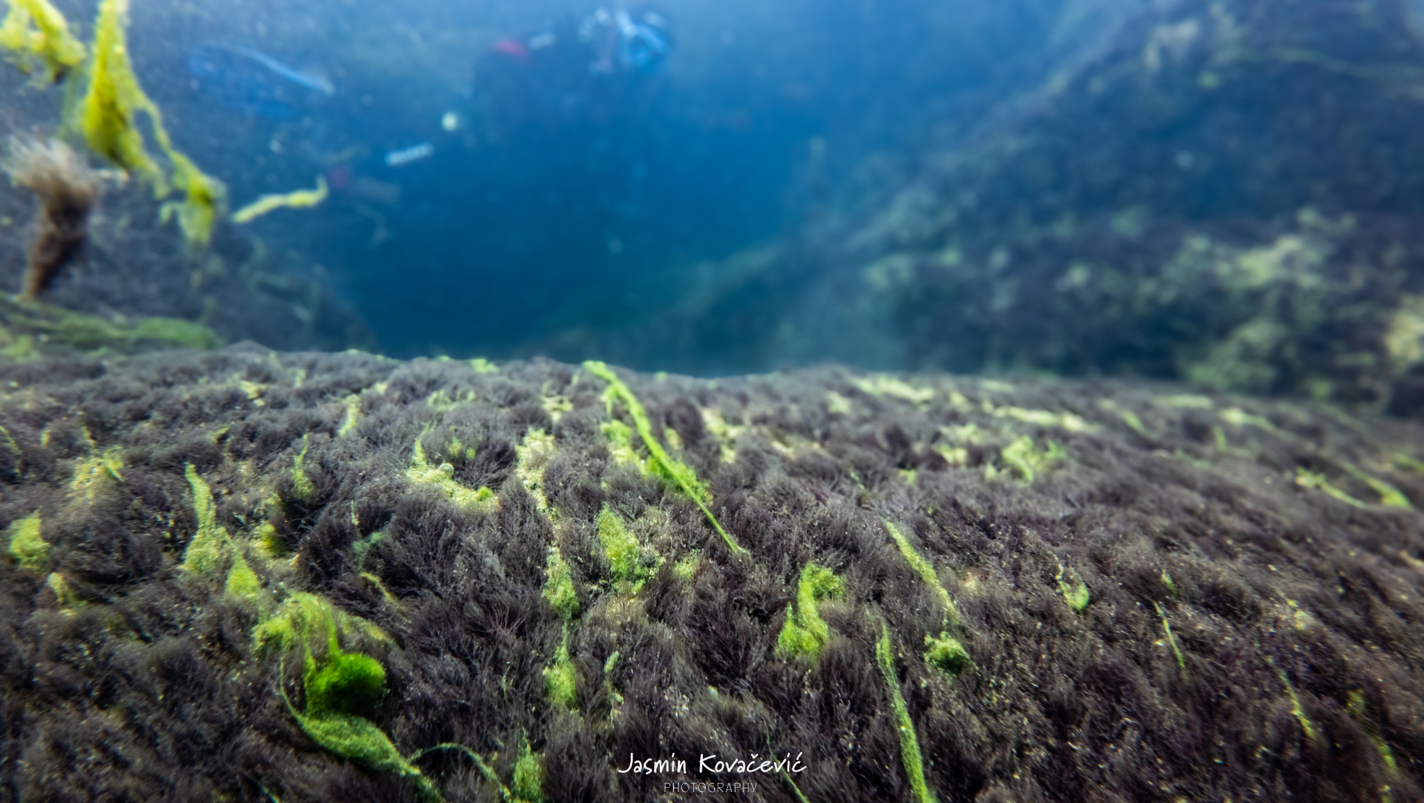 DJI 20250719110429 0043 D 001