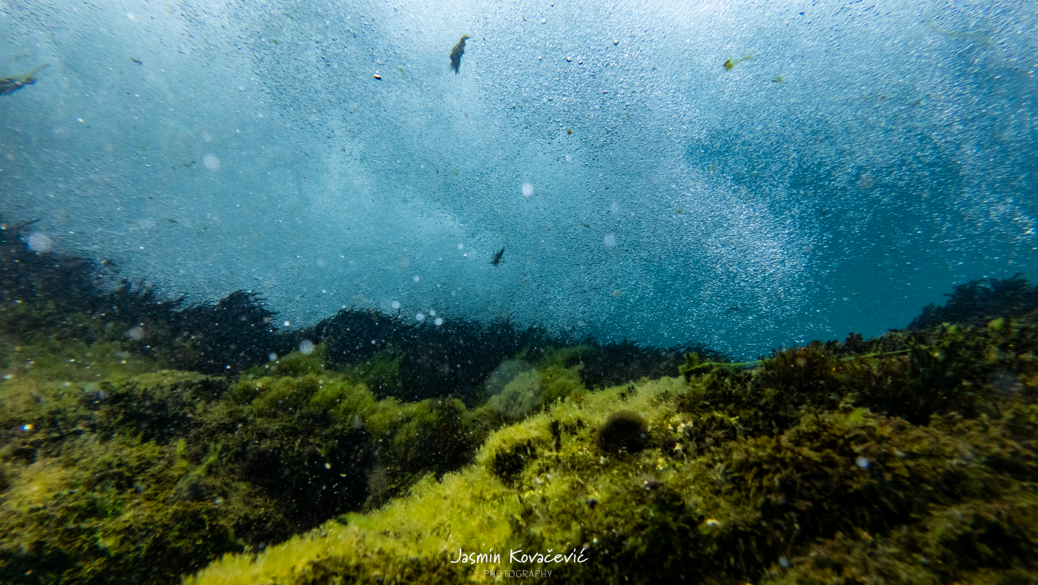 DJI 20250719110915 0053 D 002