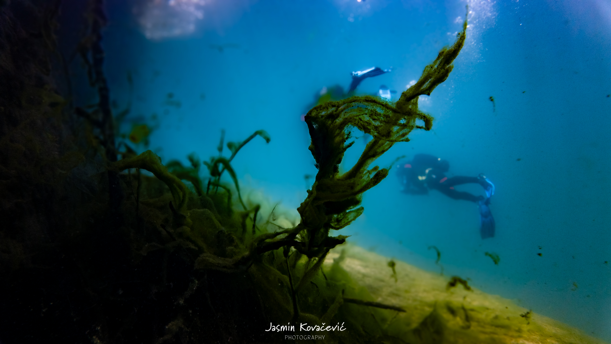 DJI 20250719111105 0060 D 002