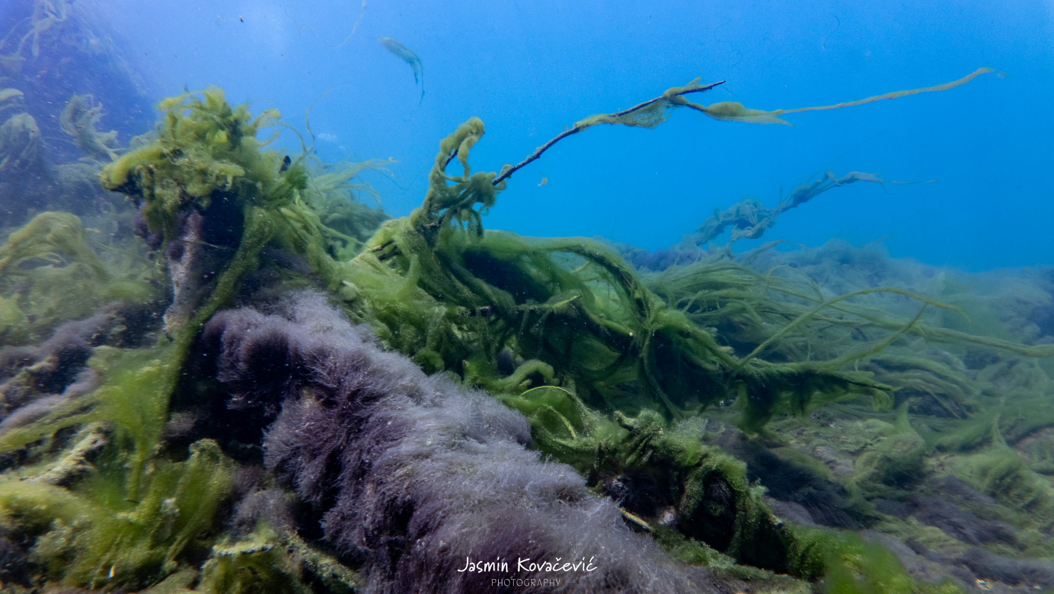 DJI 20250719111451 0067 D 001