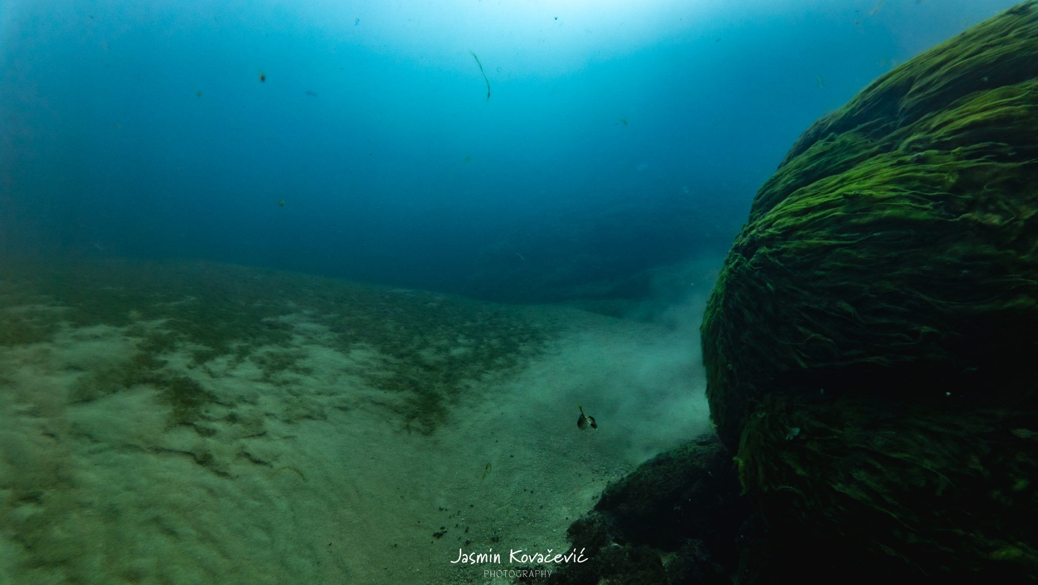 DJI 20250719112541 0090 D 001