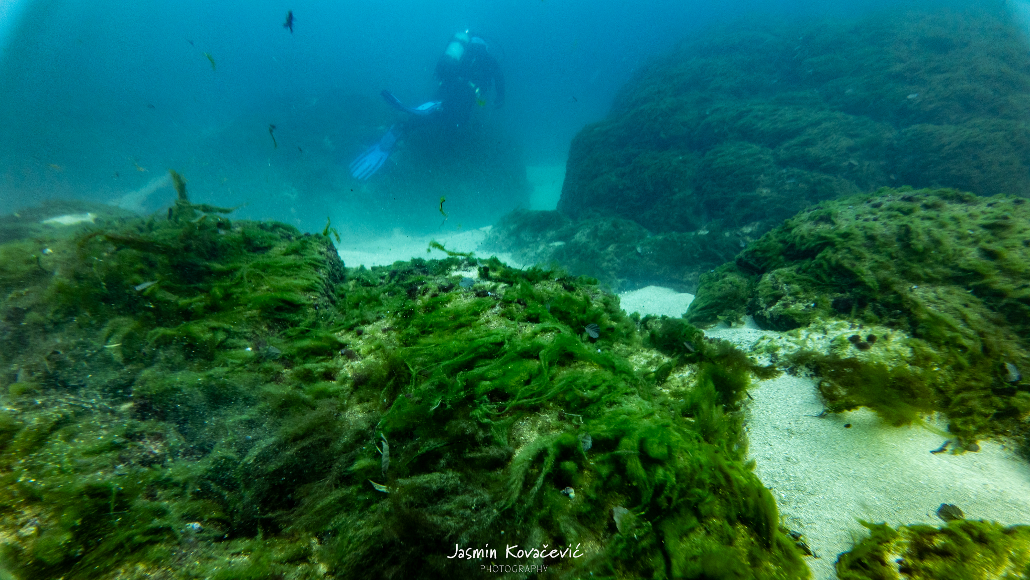 DJI 20250719115642 0101 D 001