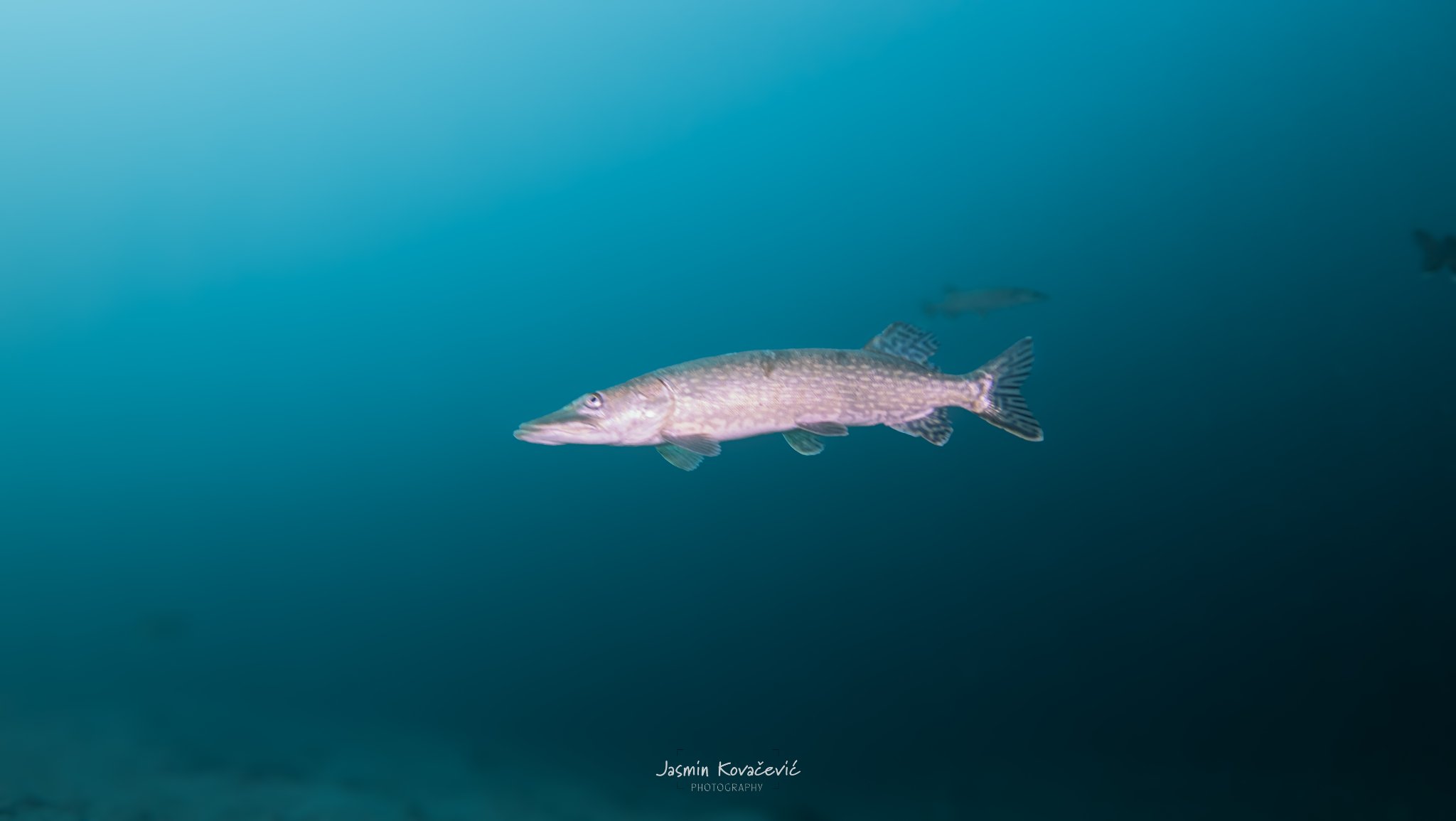 DJI 20250208130231 0006 D 002