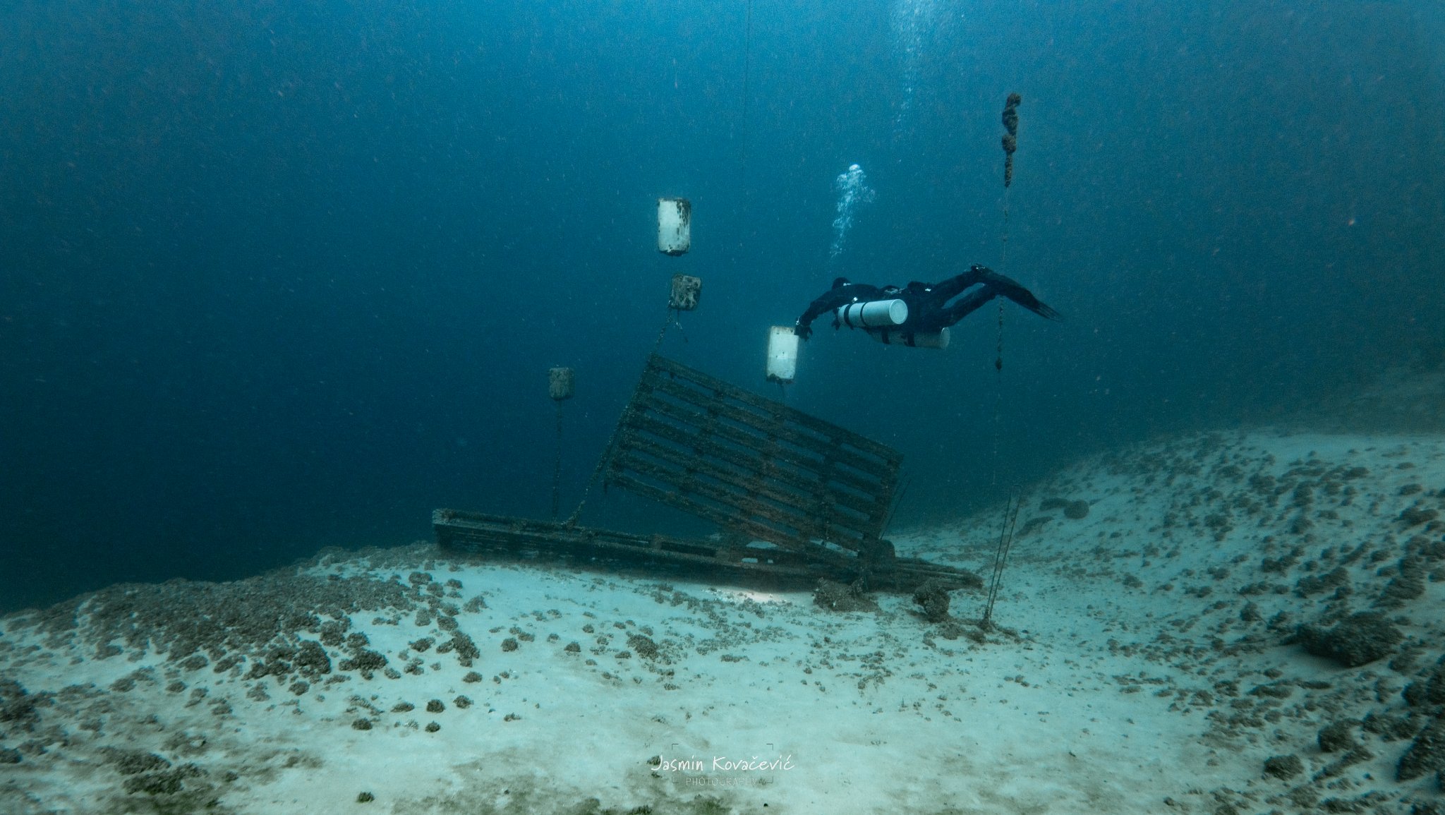 DJI 20250208130316 0008 D 002