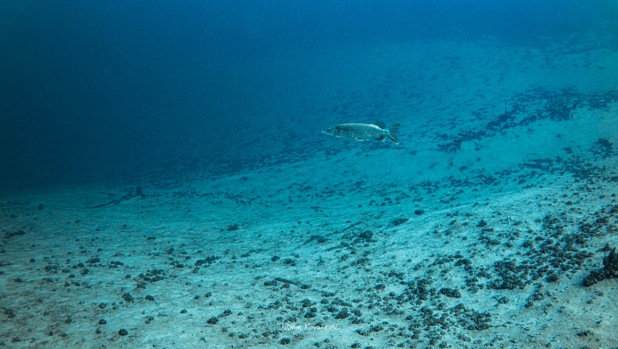 DJI 20250208130812 0020 D 001