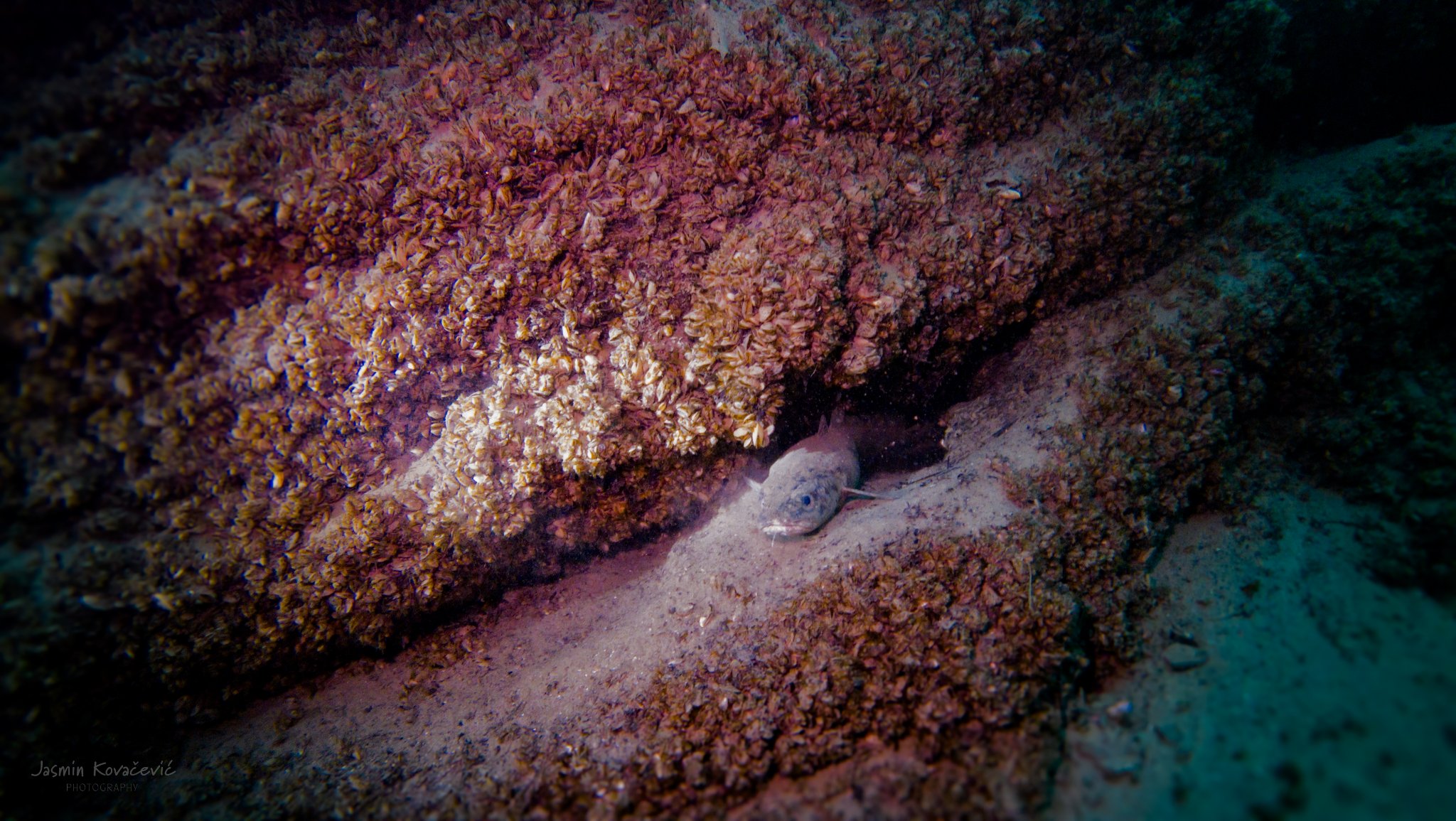 Schlierwand 14.12.2024