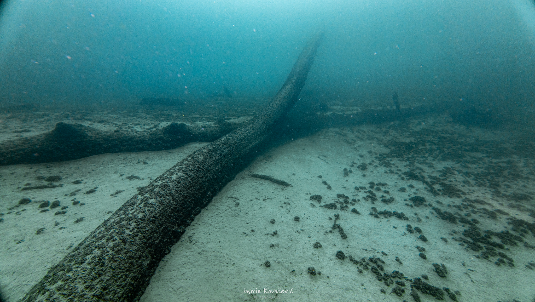 DJI 20250517115055 0085 D 001