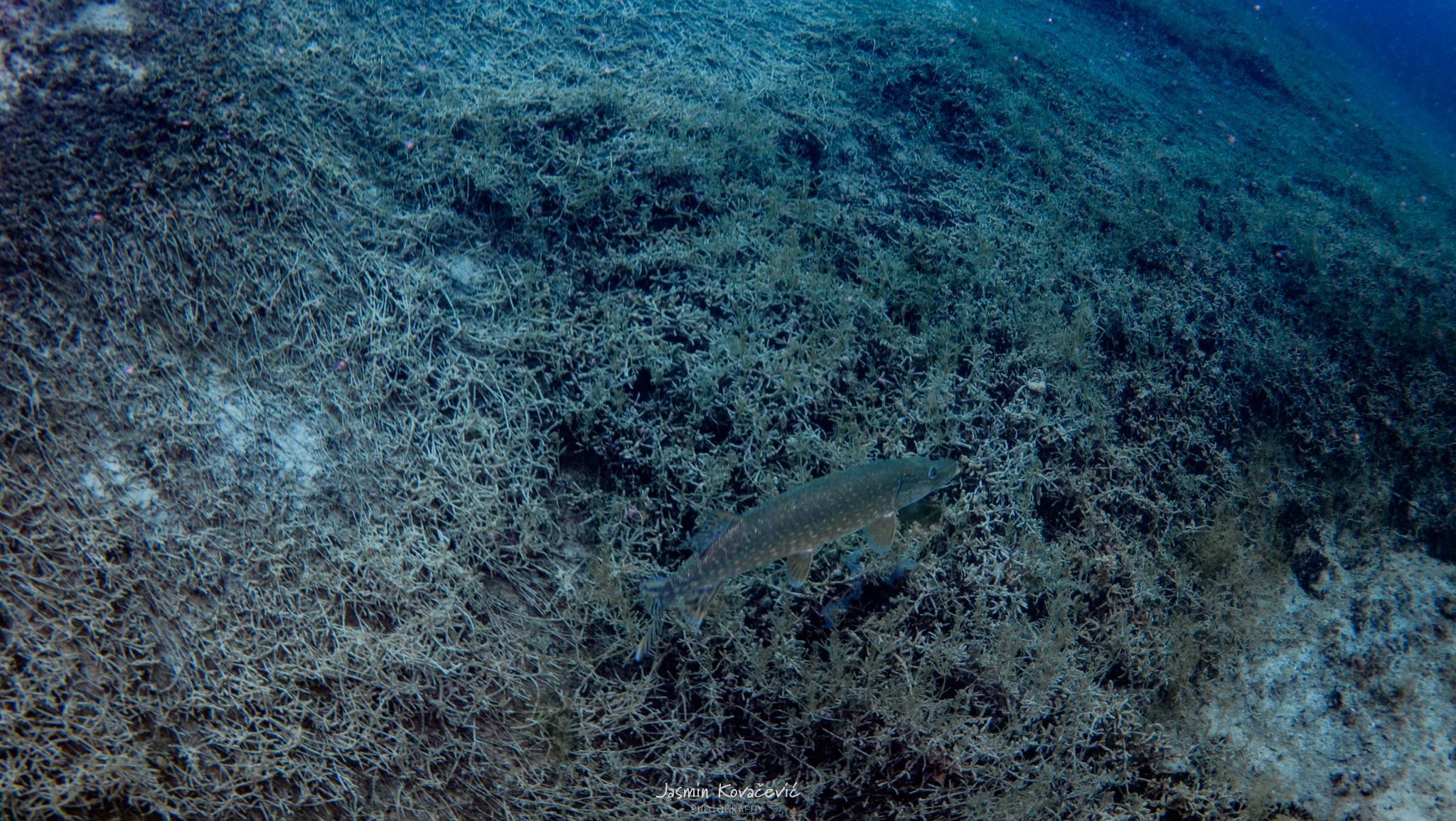 DJI 20250517120014 0096 D 002