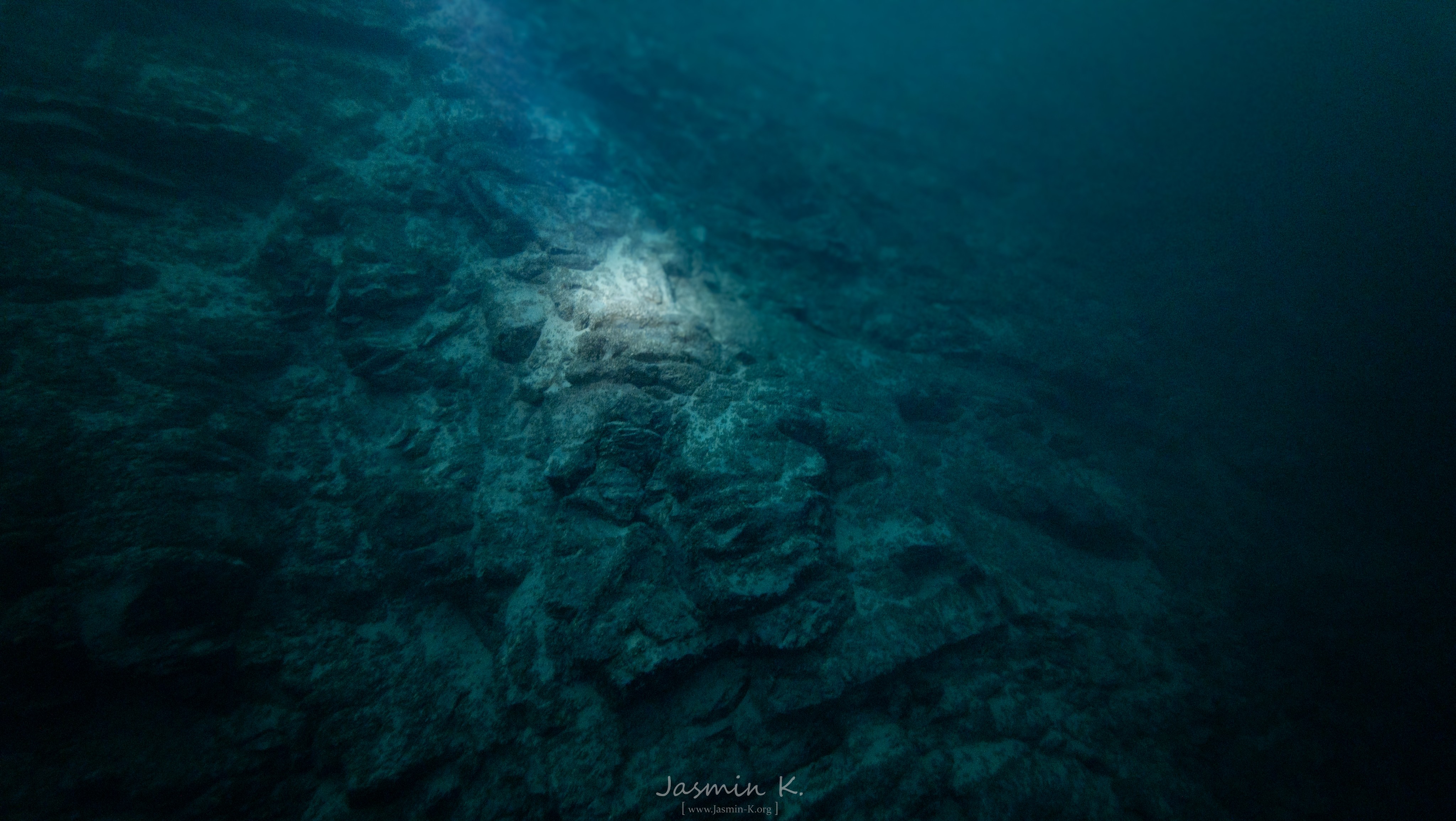 VIP #1  - 15.08.2025