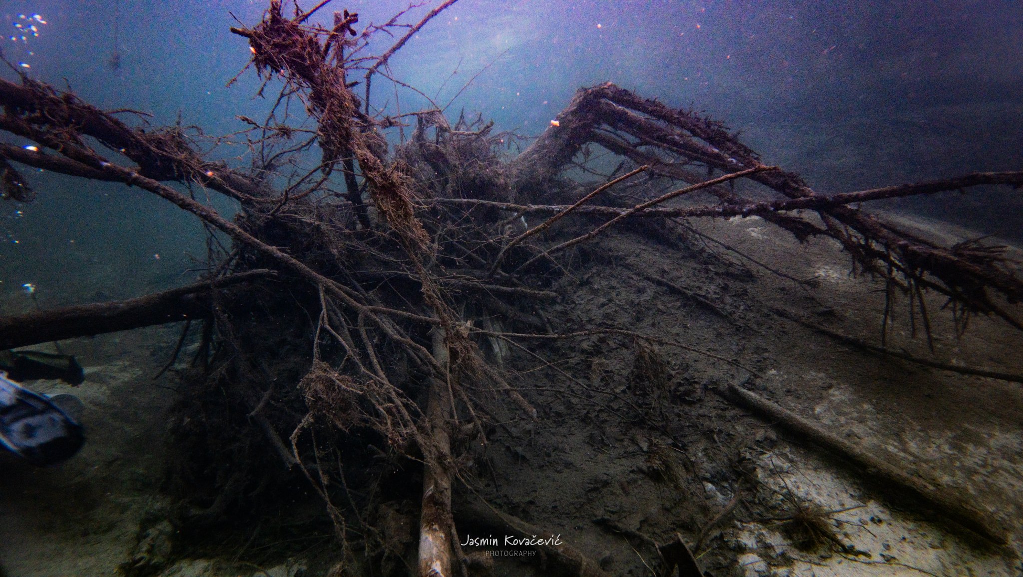 DJI 20241228130949 0260 D 002