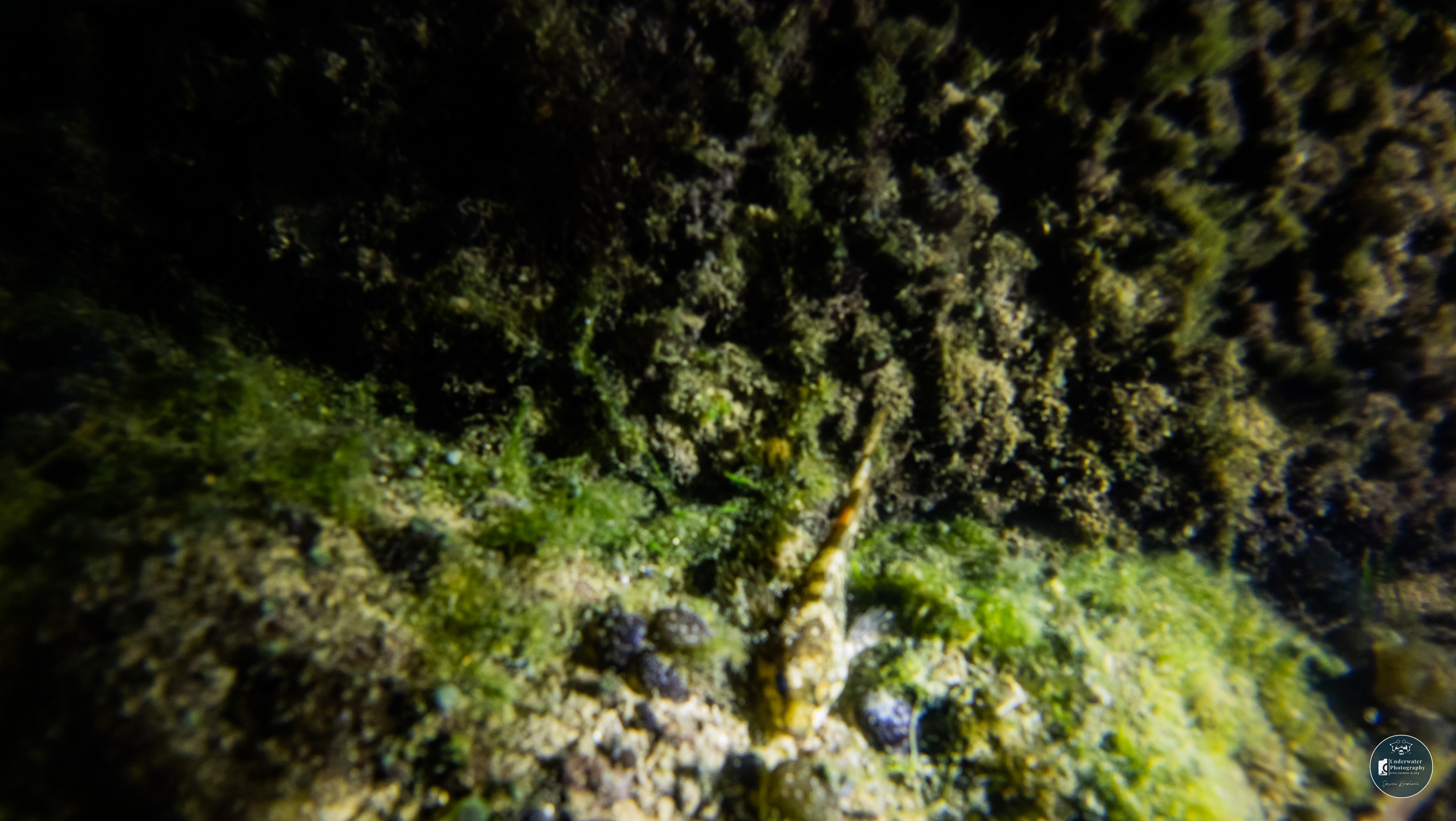 DJI 20250927161045 0118 D 002