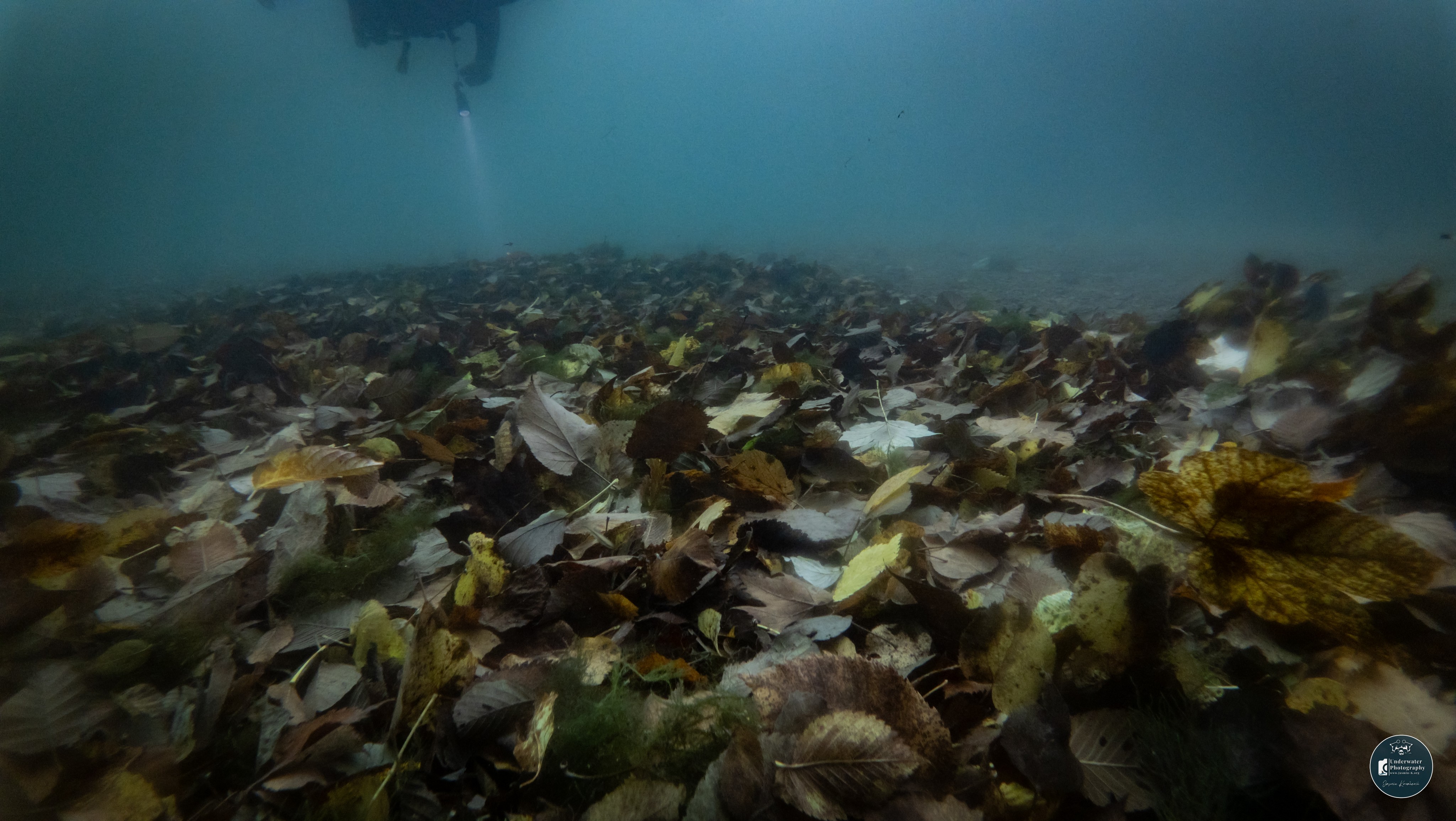 DJI 20250928123824 0149 D 001