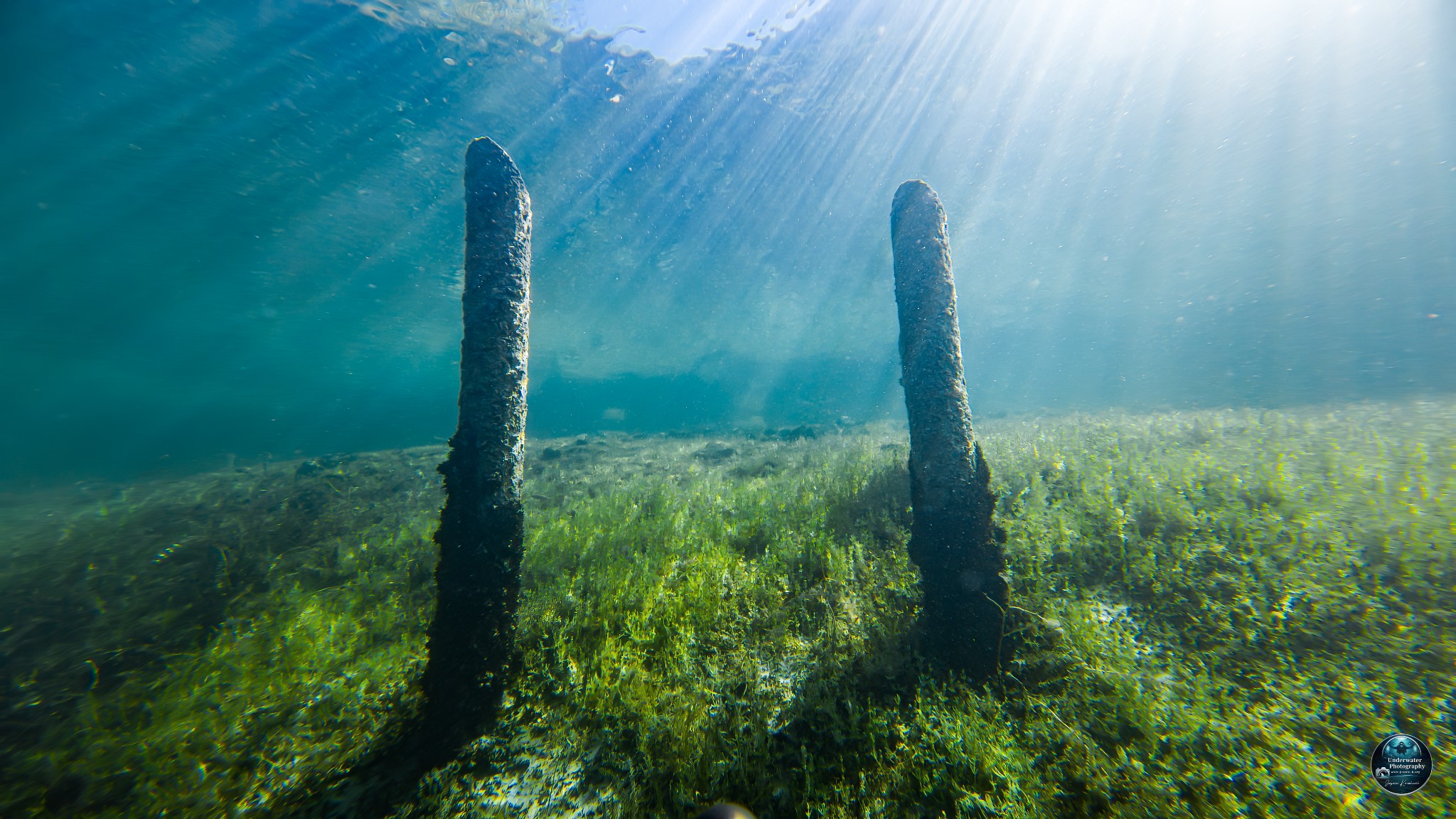 DJI 20260425113406 0042 D