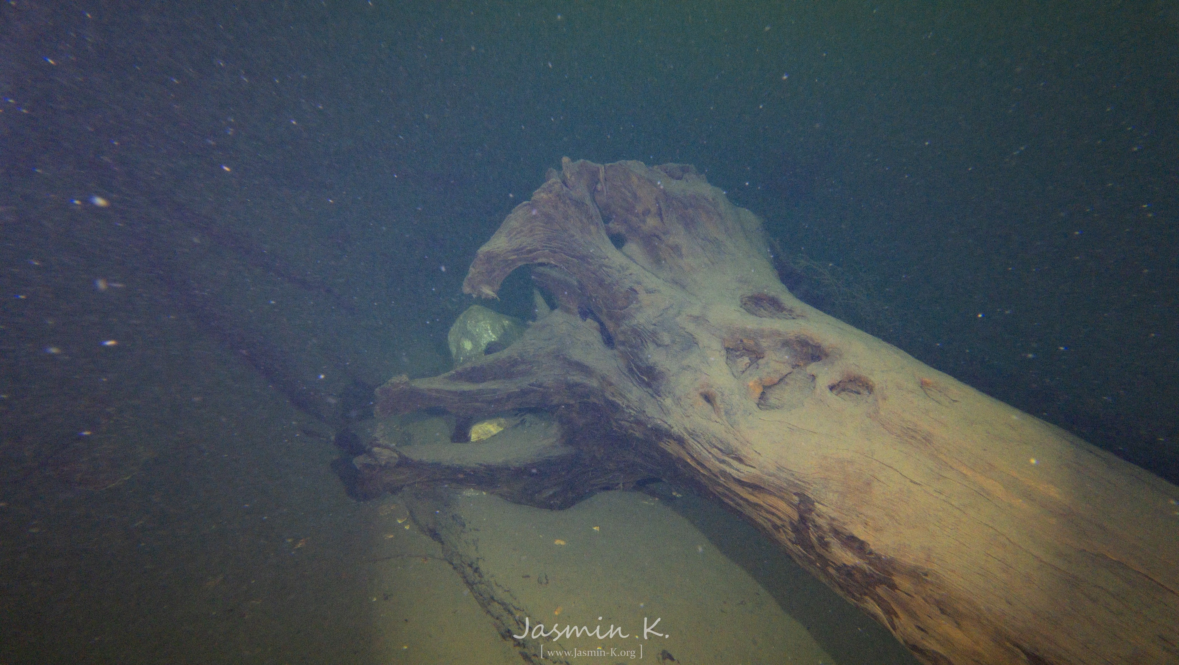 DJI 20250809121218 0160 D 002