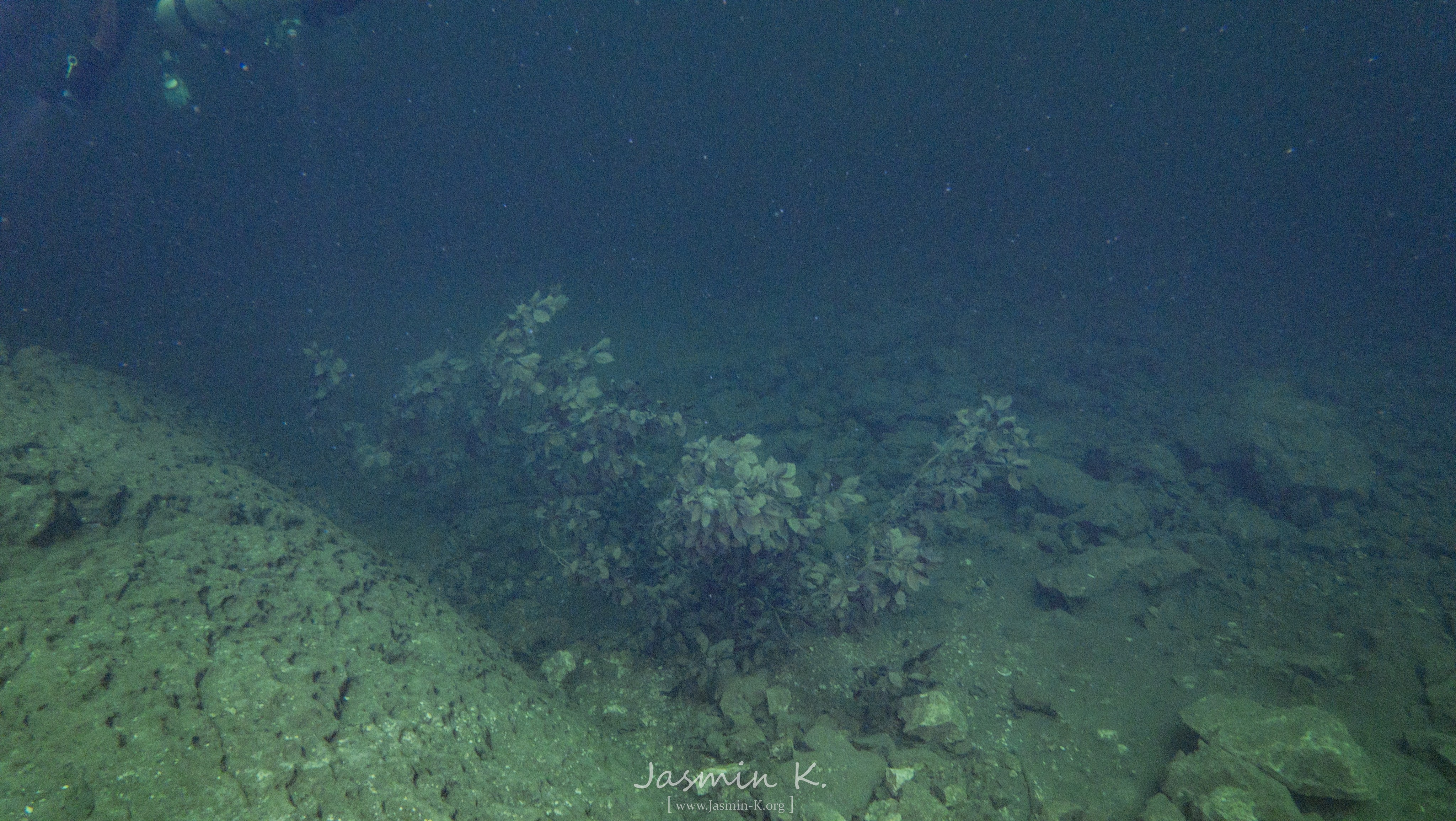 DJI 20250809144447 0202 D 001