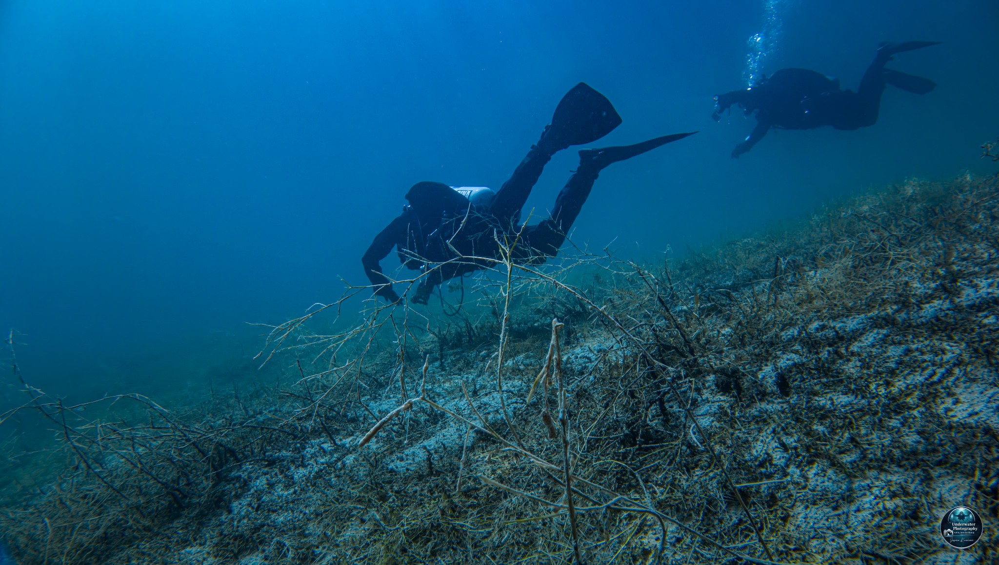 DJI 20260427121936 0123 D 002