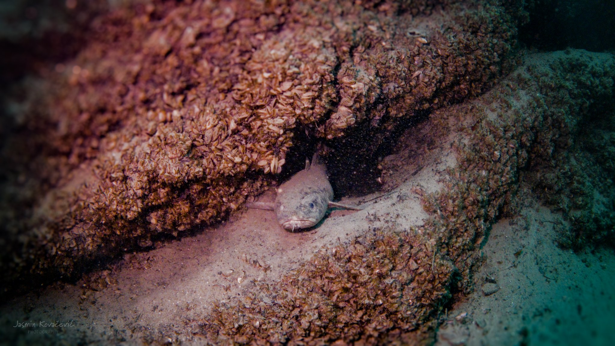 DJI 20241214131438 0119 D 001